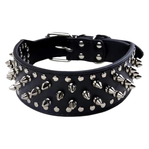Laisse en cuir pour chien de petite taille, idéal balade