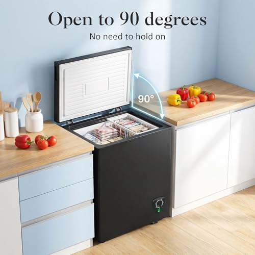 Walk-in freezer cold storage large