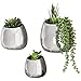 MyGift Set of 3 Contemporary Wall Mounted Metallic Silver Ceramic Plant Vase/Succulent Planter Pots