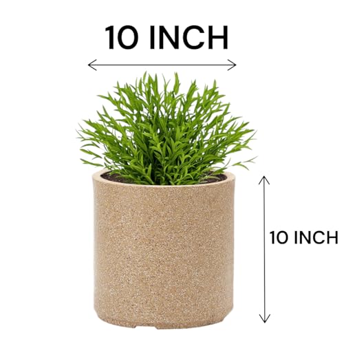 Image of GTB Cylinder German Polymer Pots for Plants Highly Durable Polymers Lightweight Indoor Outdoor Plant Pots, Flower Pot Gamla Tree Planter Container Planters(Plant not Included) (Sandstone, 10 inch)