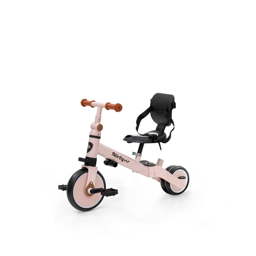 Interbaby - Triciclo "Norby" e Bici Evolutiva 5 in 1 con Capottina - 1-5 Anni