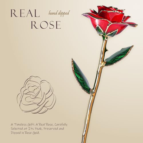 24K-Gold-Dipped-Real-Rose-Preserved-Eternal-Rose-with-Gift-Box-Romantic-Gift-for-Her-Anniversary-Valentines-Day-Mothers-Day-Wedding-and-Birthday-Present 24K Gold Dipped Real Rose Preserved Eternal Rose with Gift Box Romantic Gift for Her Anniversary Valentines Day Mothers Day Wedding and Birthday Present