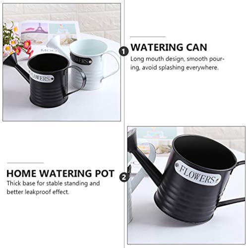 Hemoton 2 Unidades de Regador Pote de Metal para AspersÃ£o de Planta Frasco Spray para Bonsai Materi