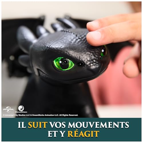 Dreamworks Dragons - How to Train Your Dragon - Mon Dragon Interactif Krokmou - Figurine Interactive Qui Réagit Au Toucher avec 60 Effets Sonores - Mouvements Réalistes - Jouet Enfant 4 Ans Et +