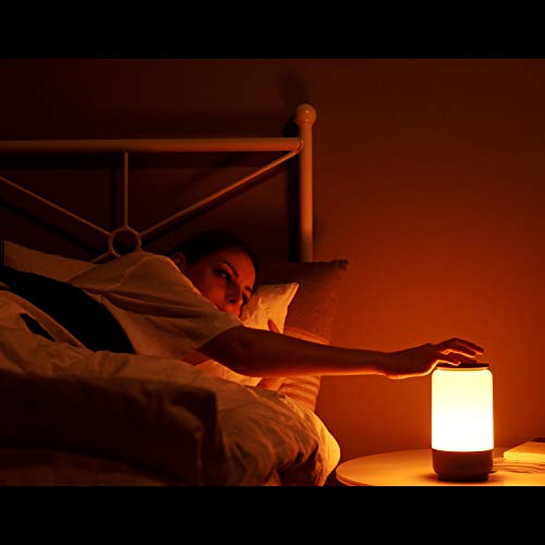 Hugoai Led Table Lamp, Bedside Lamp, Nightstand Lamps For Bedrooms With Dimmable Whites, Vibrant Rgb Colors And Memory Function, No Flicker, Grey #TOP3