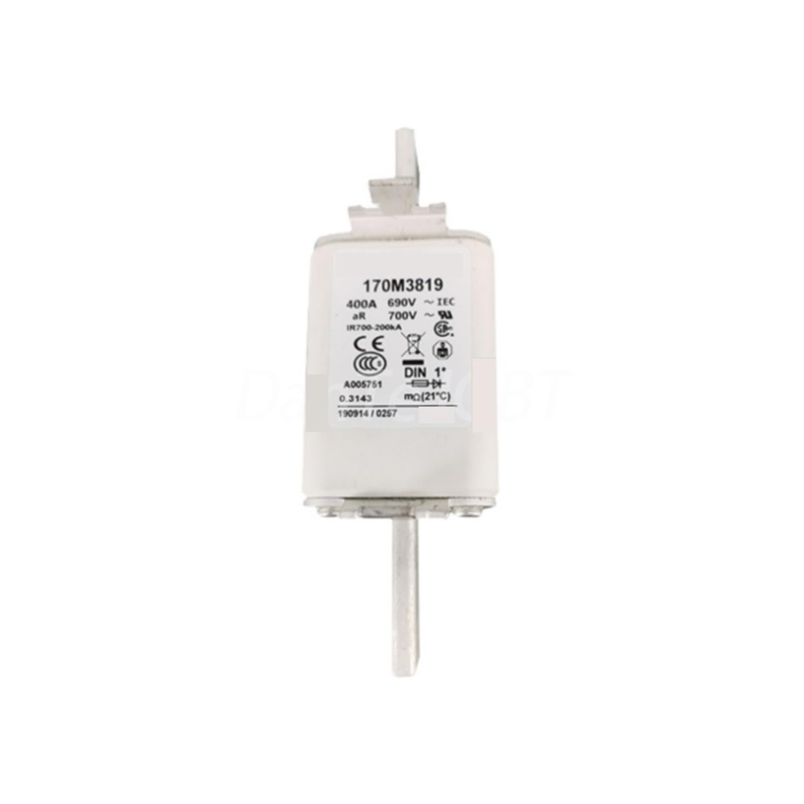 IPNDKBFL 170M3819 Fuse
