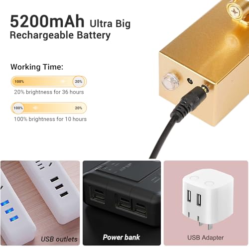 Image of Mocalido 2 Pack Picture Light Battery Operated for Wall, 16in Wireless LED Art Light for Painting with Remote, 5200mAh Dimmable Frame Lights for Gallery Library, Brass