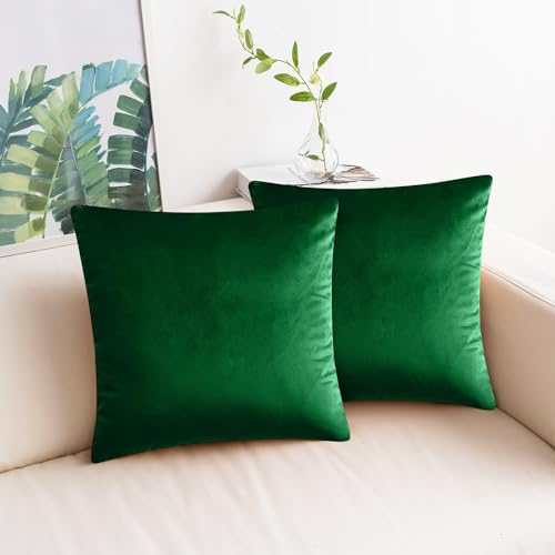 Imperial Rooms Cushion Covers 45 x 45 cm Pack of 2 Square Throw Velvet Pillow Cases Bedroom Decor Cushion for Sofa Living Room Car (Green - Image 4