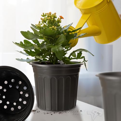 Belinlen 24 Pack 23.5cm Plastic Thickened Plant Pots with 24 Pcs Waterproof Plastic T-Type Plant Tags and 2Pcs/Set Transplanting Digging Mini Tools - Image 5