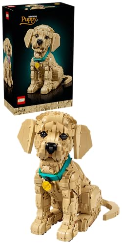 Icons Cucciolo di Golden Retriever - Kit Modellismo per Adulti - Modello 3D di Animale da Esposizione con Collare e Medaglietta per Cane - Decorazione Fai da Te - Idea Regalo Artigianale - 11384