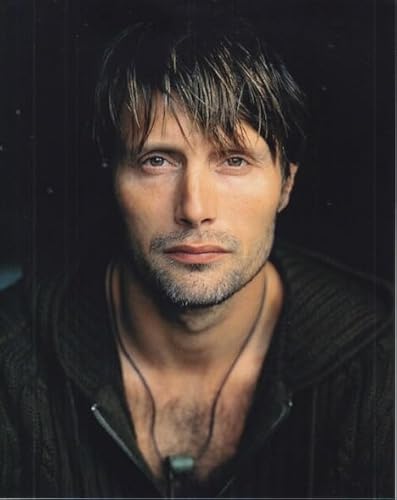 }bc~PZ Mads Mikkelsen ʐ^, 20.3x25.4cm, t[Ȃ, fʐ^|X^[