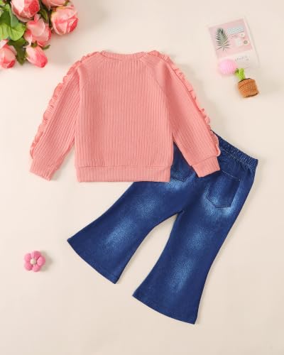 Image of SODLON Baby Toddler Girl Clothes Sweatshirt Jeans Fall Winter Outfit 12M-5T