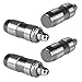 Pubotlu 12 Pcs Hydraulic Flat Tappet Lifters, Valve Lifter Replaces M65293V 3L3Z-6564-A 5L1Z-6500-A, Compatible with Fo-rd Lincoln Mer-cury