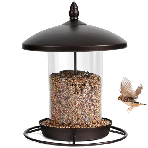 Metal Roof Bird Feeder - Chew Proof for Outdoor
