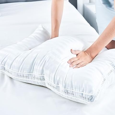 Glaciman Gusseted Queen Bed Pillows Cover