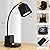 LED Cute Desk Lamp with 2 USB Charging Port,1000LM Eye-Caring Study Lamp 3 Color Modes 4 Brightness Touch Control Table Lamp with Pen/Phone Holder,Gooseneck Desk Light for Home Office, Reading, Study