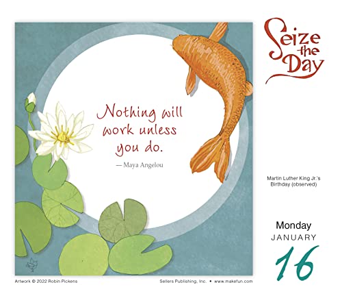 Seize The Day 2023 Boxed Daily Desk Calendar By Robin Pickens, 6" X 5" #TOP2