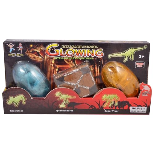 Image of Dino Fossil 3 In 1 Set - Multicolor