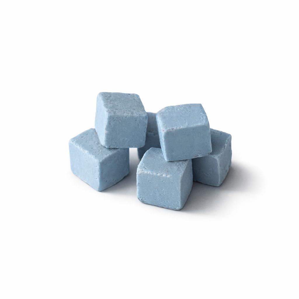 Phyocyanin Calcium Blocks for Shrimp & Snails – Mineral Food Immunity & Health (100)