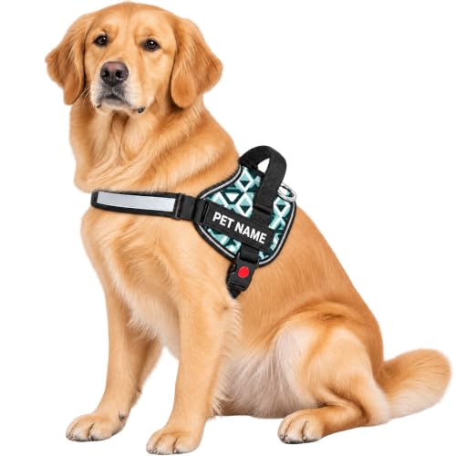 Image of Customized Dog Harness | Print Your Pet Name on Harness | No Pull Reflective | for 14-23 Kilograms Dogs (M, 3D-Cube)