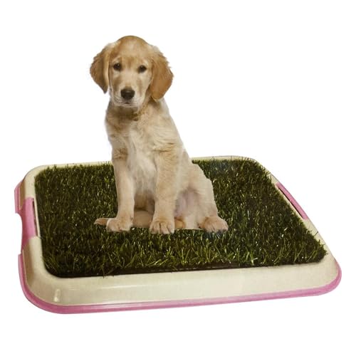 BPS Toilette für Haustiere, Hundeklo, Kunststoff, 2 Größen M/L, Farbe zufällig