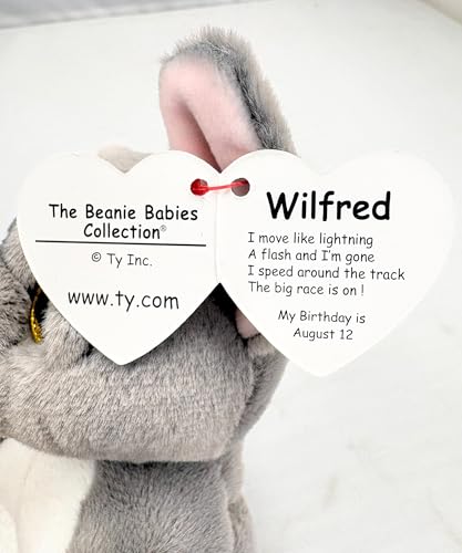 TY Wilfred Hund - Beanie Bellies - Reg, Grau
