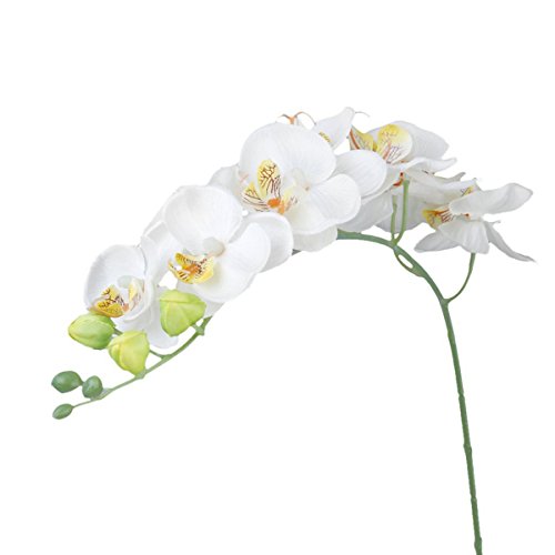 Tinksky Simulation Butterfly Orchid Artificial Flower Plant Home Decoration (White)