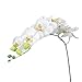 Tinksky Simulation Butterfly Orchid Artificial Flower Plant Home Decoration (White)