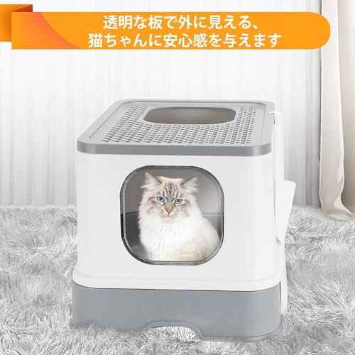 RoBeKaU L gC { LpgC lRgC e ^ ̔юUh~ ォLgC |ȒP ELR gݗĕsv XRbvt  lC Lpi (O[)