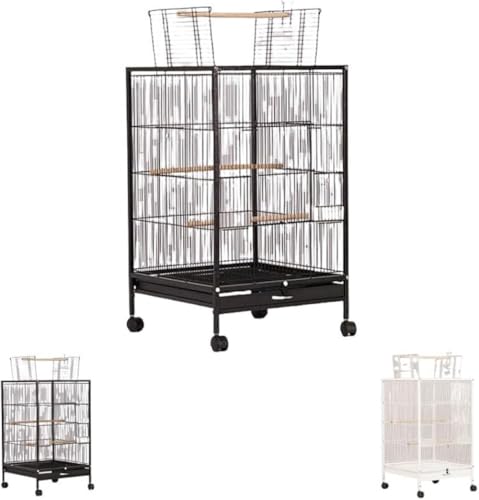 Xiraivke^xP[W Op`FIE/IJCR/NW/{^/jApALX^[tňړȒPEeiXȒPȃo[hnEX?