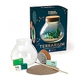 Materiale: vetro FIMO Kit Terrario