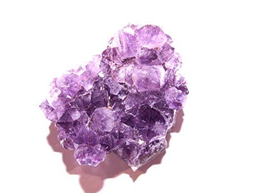 Zentron Crystal Collection: Raw Geode Druze Piece (2", Amethyst) #TOP3