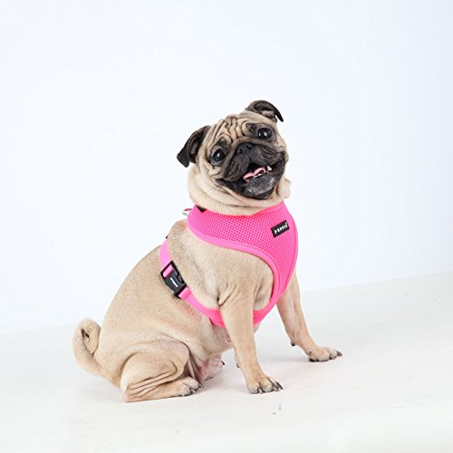 Puppia Hundegeschirr in Neonfarben - Hochwertig und Komfortabel - Auch als Welpengeschirr verwendbar, Orange, S, PAPA-AC1325-OR-S