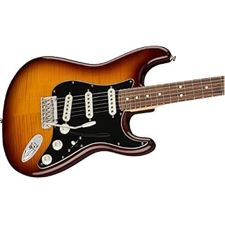 Stratocaster Mexicaine Player Plus Top Tobacco Sunburst touche Pao ferro - Les Beatles, Paul McCartney, John Lennon, RIngo Starr, George Harrison Stratocaster Mexicaine Player Plus Top Tobacco Sunburst touche Pao ferro – Image 3