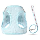 Seguridad: con correas para perros de 1.5 m, 2 anillos en D ligeros para sujetar la correa con seguridad, tiene bandas reflectantes en el cuello para mantenerlo visible y ofrecer una seguridad óptima en la oscuridad.