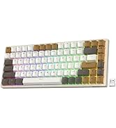RK ROYAL KLUDGE RK920 Mechanische Tastatur – 104 Tasten, Rote Schalter, Regenbogen-Beleuchtung, Für Gaming & Büro