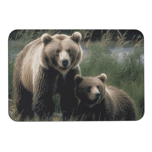 Tapis absorbant l'eau pour entrée glissante - Tapis de sol antidérapant
