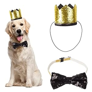 Wedding Dog Hat and Dog Bow Tie Set Cute Wedding Dog Crown Hat and Dog Bowtie Collar for Dog Party Supplies Black