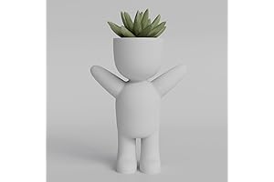 Delightful Live Mini Succulent Plants in Captivating 3D Humanoid Planters