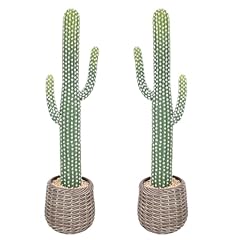 Brown Decorative Planter-2pack
