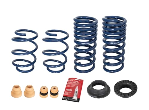 OEM M-5300-S62T Front & Rear 1" Lowering Springs Kit for 2015-2024 Ford Mustang 2.3L