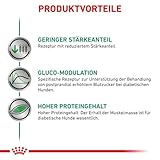 Royal Canin Veterinary Diabetic Special Low Carbohydrate Canine Mousse | 12 x 410 g | Nassfutter für ausgewachsene Hunde | Regulierung des Blutzuckerspiegels | Hoher Proteingehalt