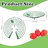 Amazon.com : Quaocens 20 PCS Strawberry Supports,Strawberry Plant ...