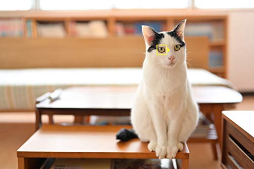 Nikon NIKON Z 6 NU - vue 7