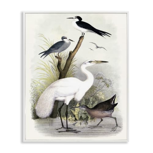Cranes by Riverbank Stream, 24 x 30 Inch Framed Giclée Print
