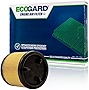 ECOGARD XA11980 Premium Engine Air Filter Fits Ford Bronco 2.3L 2021, Bronco 2.7L 2021