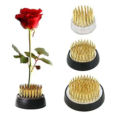 TonJin Rana de Flores de 3 Piezas Cover