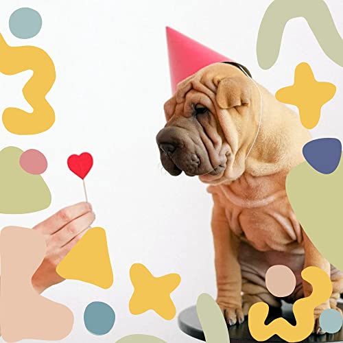 High Class Training Your Pets