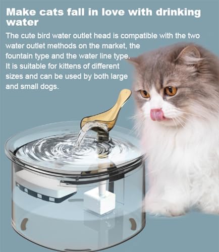 Fuente automática para mascotas 3 litros con filtro miniatura 7