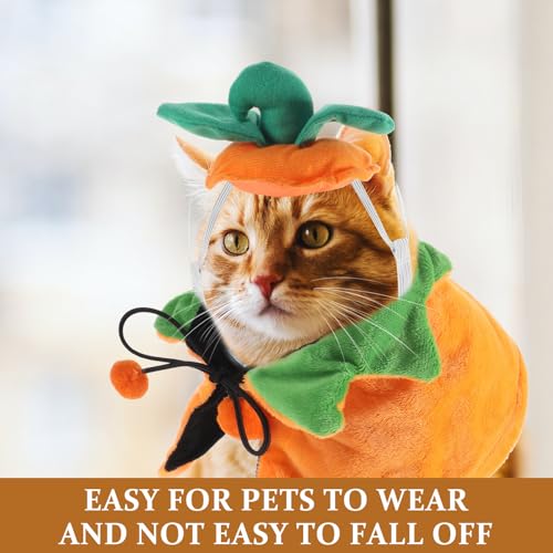 Disfraz Halloween para perro capa y sombrero, talla S miniatura 4